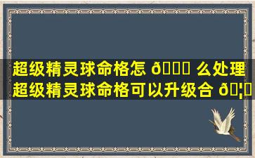 超级精灵球命格怎 🕊 么处理（超级精灵球命格可以升级合 🦁 成吗）